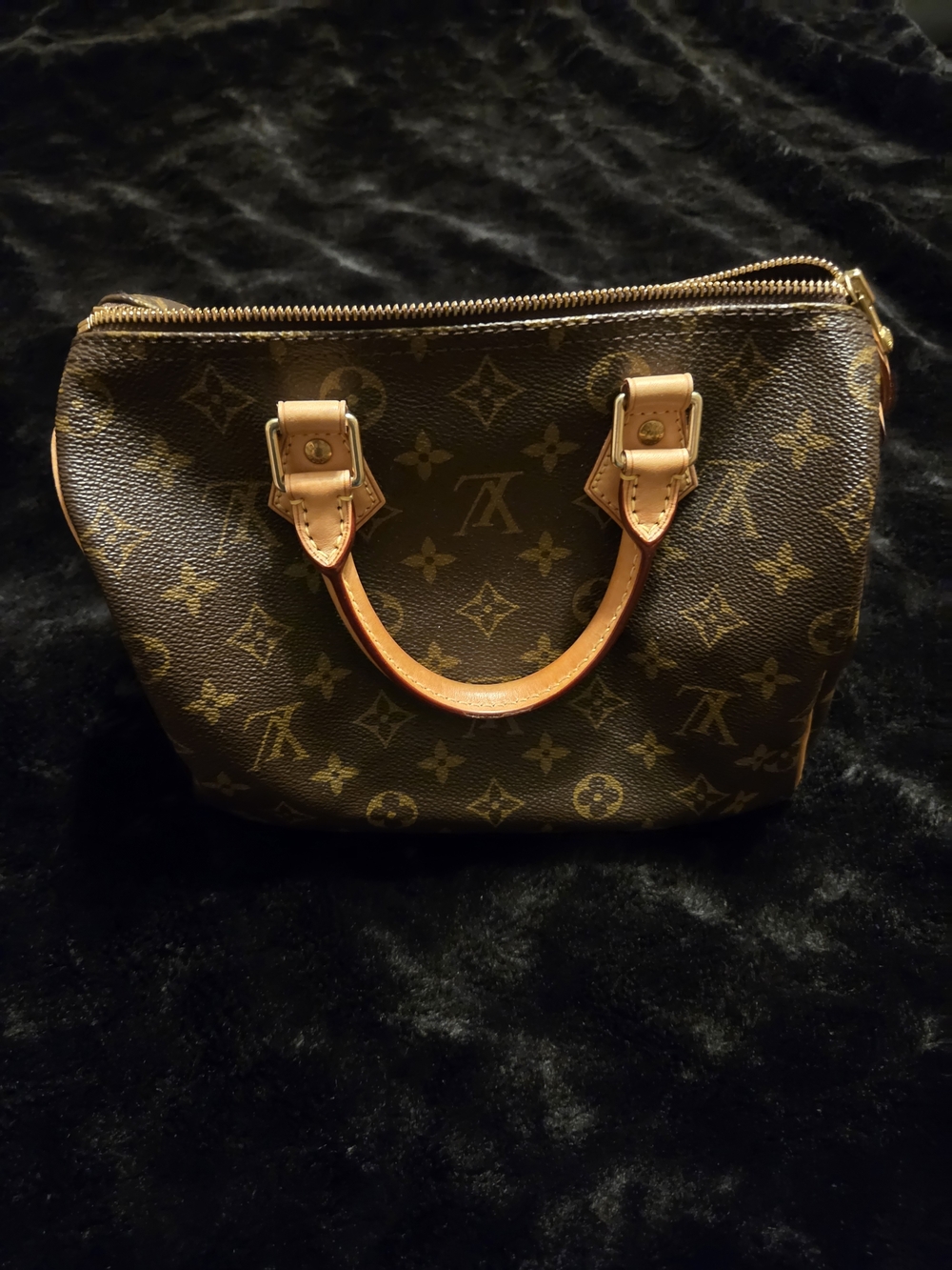 Louis Vuitton Monogram Speedy 25 Canvas Top-Handle Bag in Brown